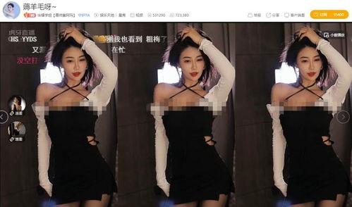 女主播h录音,女主播背后的真实世界